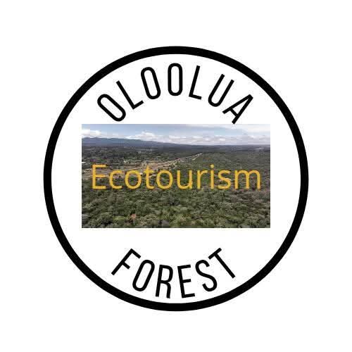Oloolua Forest